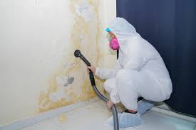  West Hammond, NM Mold Removal Services Pros